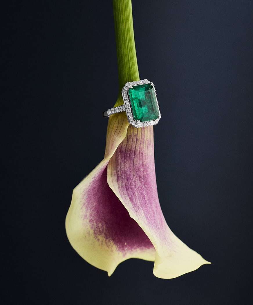 Emerald ring with a diamond halo on a purple calla lily